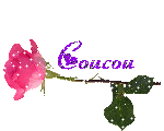 Gif coucou